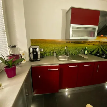 Turzyn Apartament: Idealne Miejsce Na Twoj Wypoczynek Appartamento
